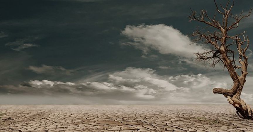 Droughts Can Jeopardize Canada’s Agricultural Sector & Economy