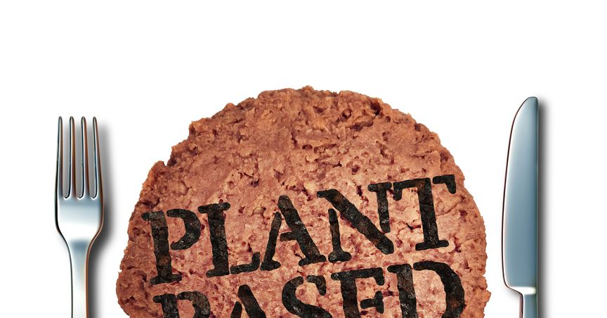  The Rise of Vegan Cuisine in North America 