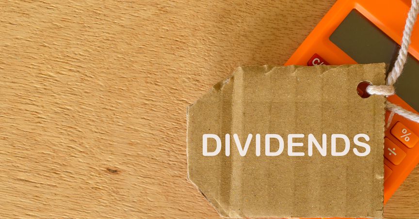  Which resources company pays the most dividend? 
