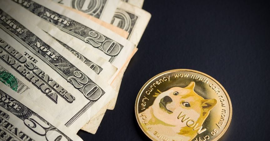  Can Dogecoin make millennials rich? How much would it be worth by 2030? 