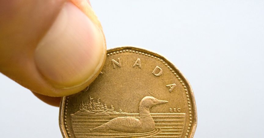  Why is the Canadian dollar called loonie? 