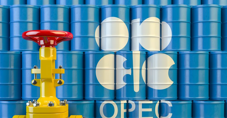  What exactly does OPEC do? 