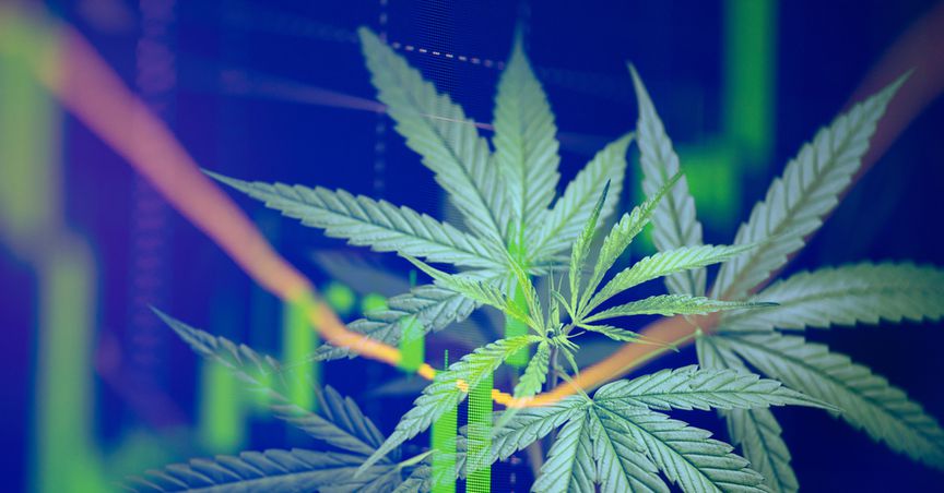  10 cannabis stocks in focus 