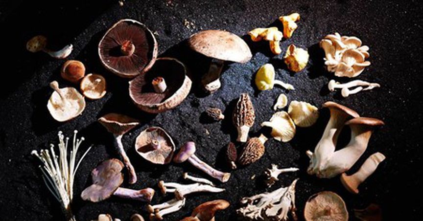 Rritual Superfoods continues to boost its brand, secures 'Tested to Be Trusted' certification 