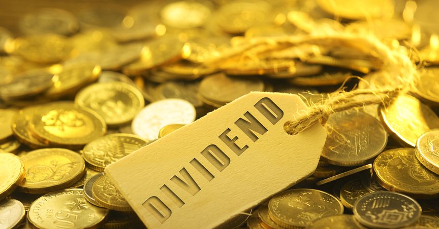  10 dividend stocks that could be value for money 