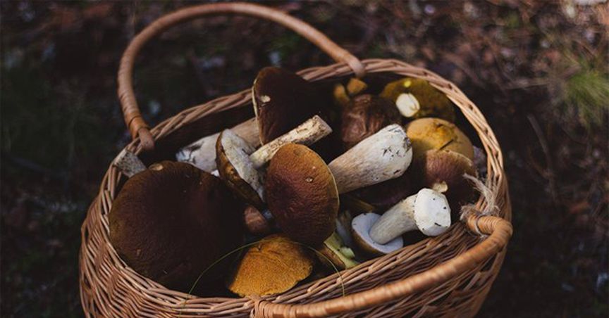 Rritual Superfoods enhances its visibility via OTCQB market listing