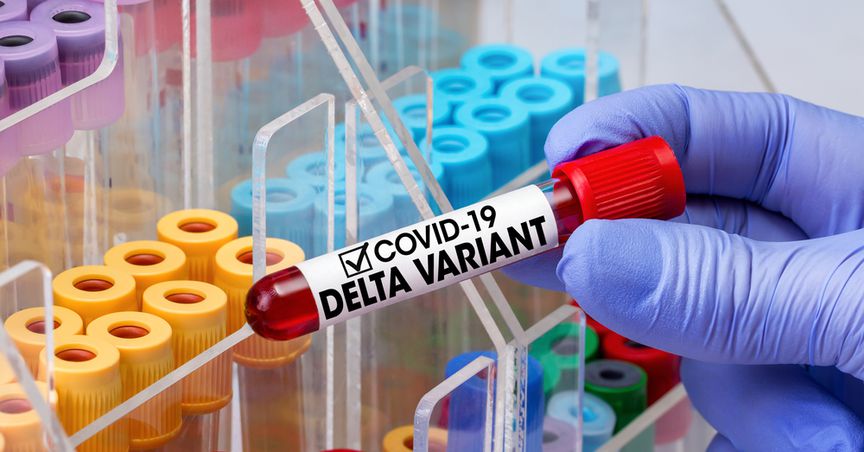  Covid trouble continues: UK sees 36,800 new Delta variant cases 