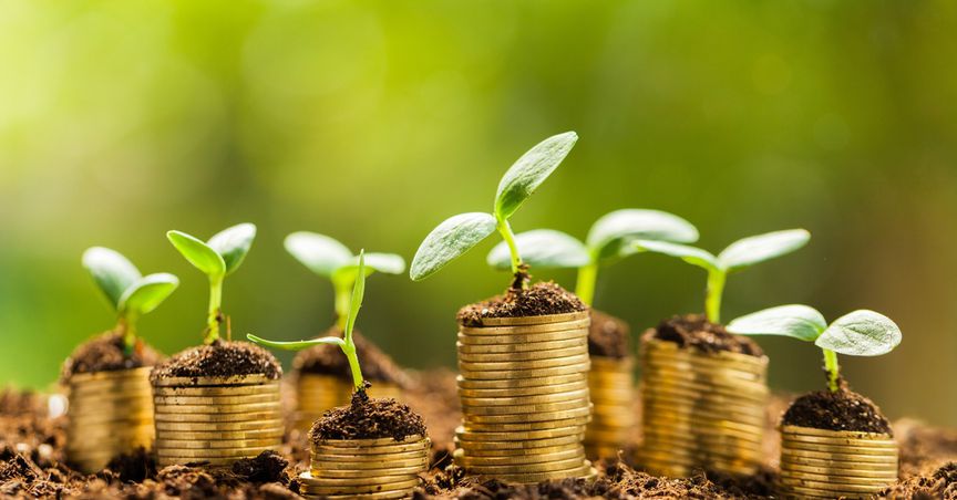  Can penny stocks help you create long-term wealth? 