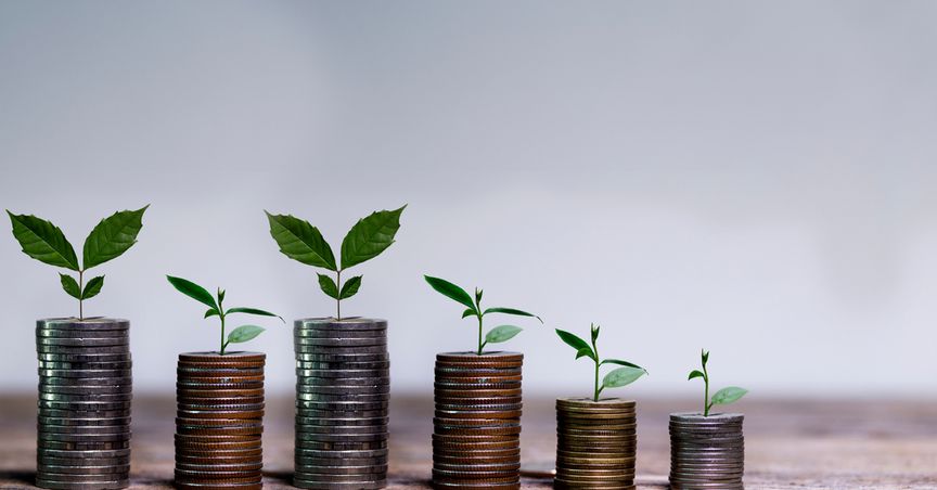 What are the top 10 small cap stocks in the UK?