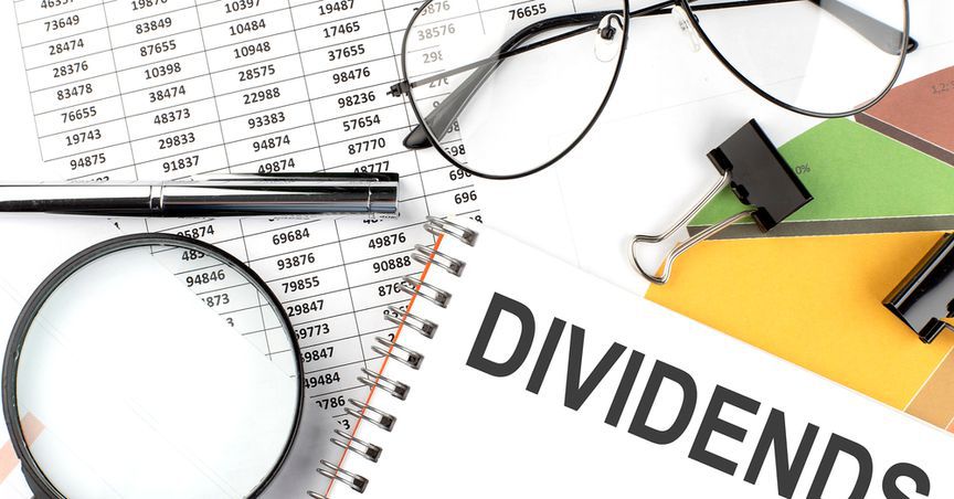  Does it make sense to invest only in dividend stocks? 