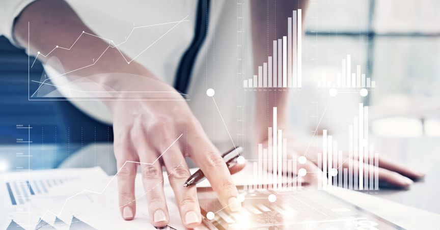  How diversification helps investors shield their portfolios against risk 