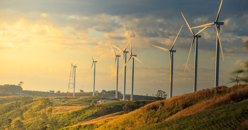  NZ Windfarms (NZX:NWF): What are the market expectations around its upcoming results? 