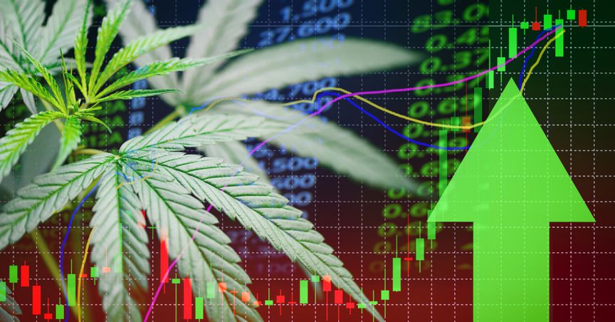  Will Tilray (TLRY) become the next big cannabis stock in North America? 
