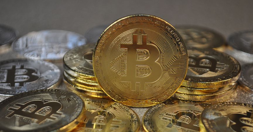  How to diversify cryptocurrency portfolio? 
