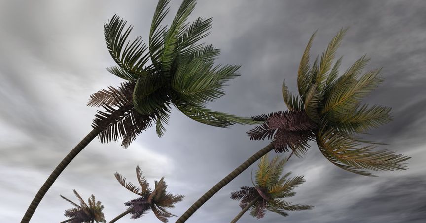 Hurricane Ida lashes Louisiana, natural gas output hit