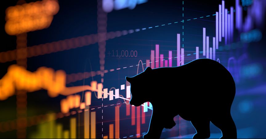  How not to fear the bear: A quick bear market survival guide 