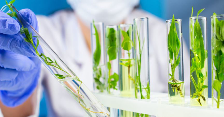  Top five biotechnology stocks to explore that are under US$100 