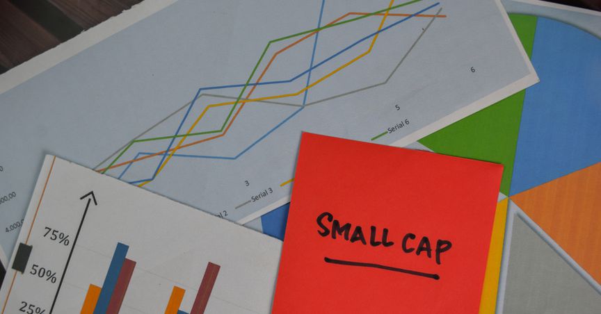  What are 5 small-cap NZX stocks examples? 