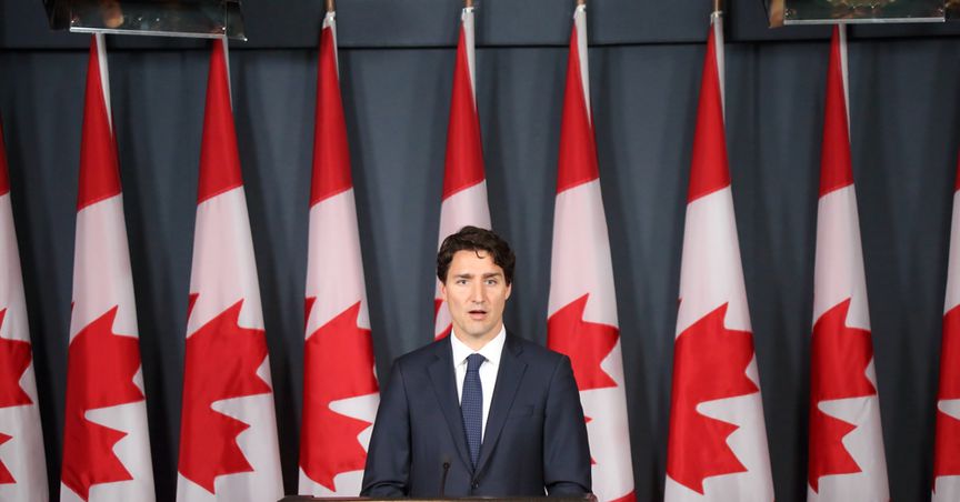  Will Trudeau's return as PM boost US-Canada ties? 