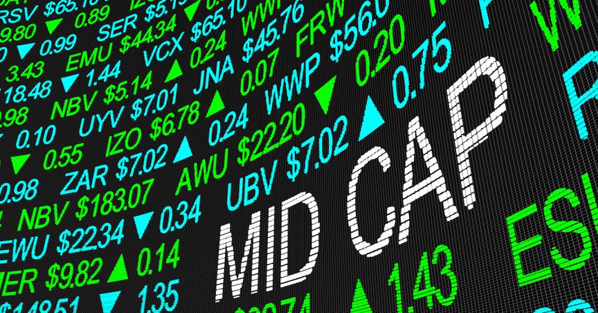  Are these 5 NZX mid-cap aiming to become large-cap stocks? 