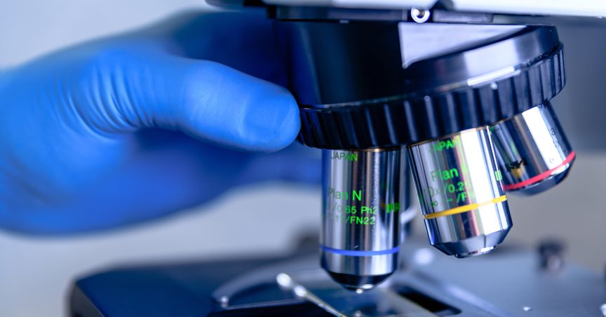  ZIVO, VTVT & APOP: Three trending healthcare stocks on Friday 