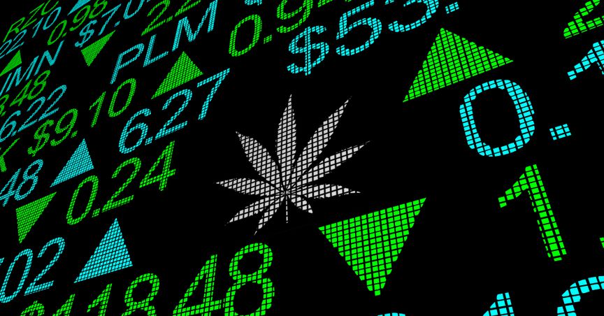  5 Canadian cannabis stocks to buy this fall 