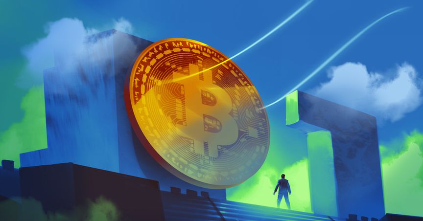  Why are Hamster, Avalanche cryptos most searched on Wednesday 