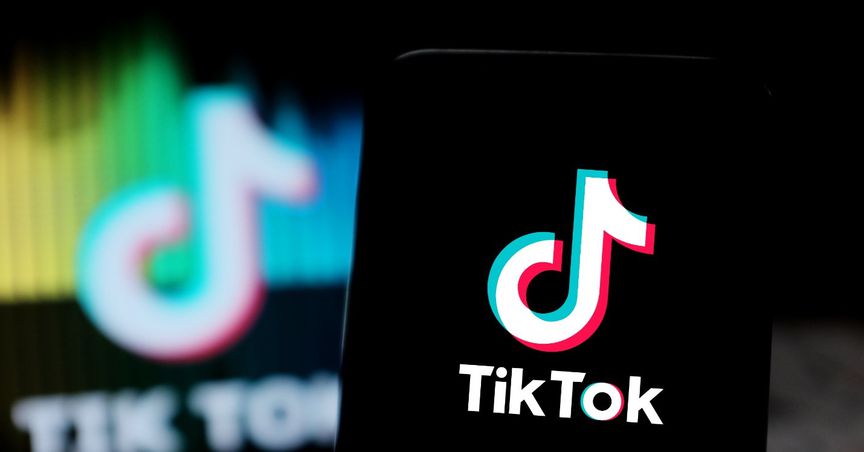  TikTok rolls out its first NFT collection; key things to know 
