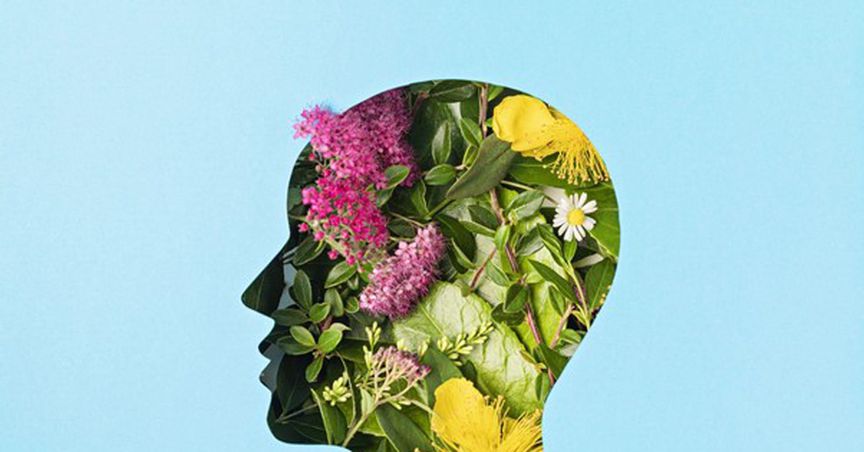  Why is therapy for everyone? 