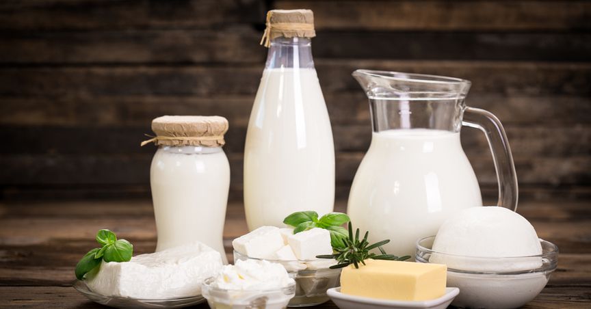  What made Synlait (NZX:SML) introduce its first consumer food product 