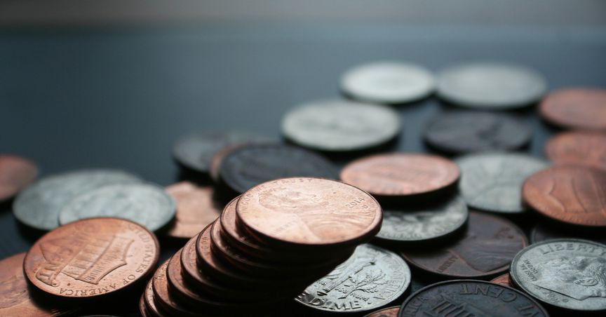  Which are 3 popular NZX penny stocks in 4th Quarter of 2021? 