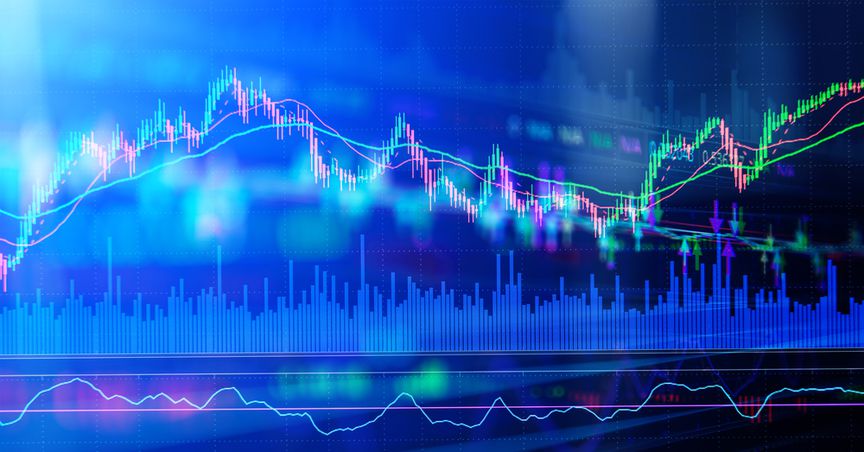  Weekend wrap: 3 Most traded NZX stocks of the day 