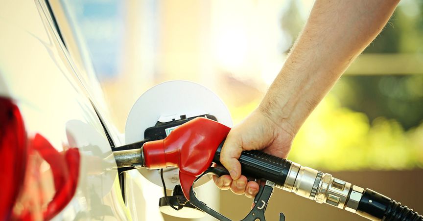  Has Z Energy (NZX:ZEL) agreed to the takeover deal by Ampol? 