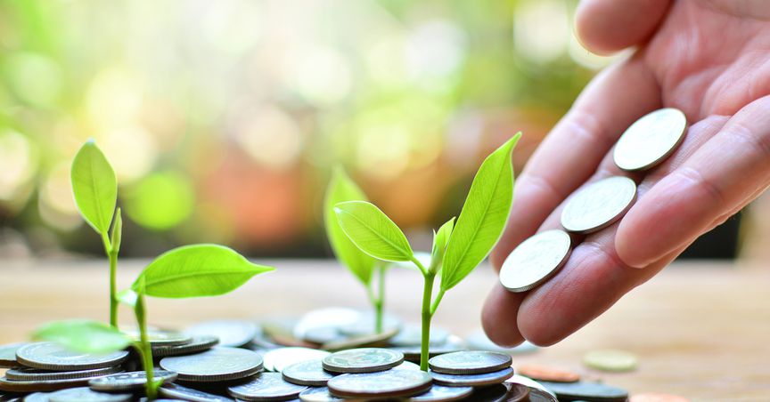  Look at these 5 dirt cheap NZX stocks under 50 cents 
