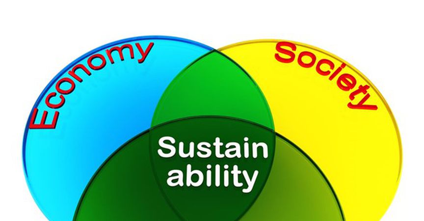  Why should you think about inclusive growth in your organisation? 