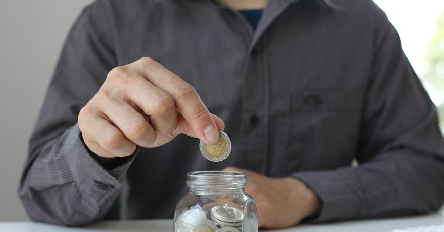  Do 4 NZX penny stocks have potential to be multibaggers? 