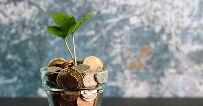 Can 1INCH be the next breakout coin for investors?