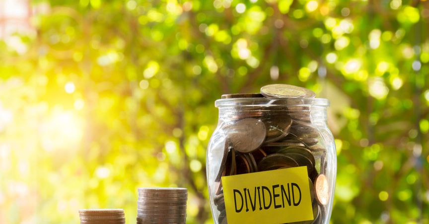  Which are 5 NZX dividend stocks under NZ$5? 