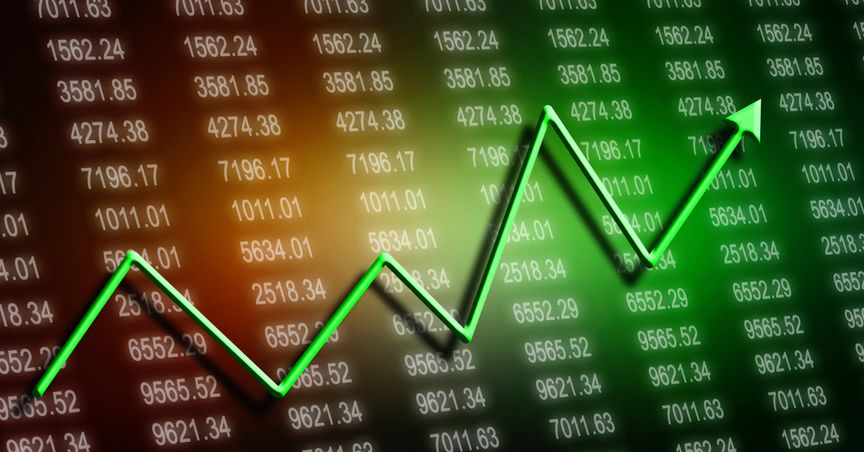  Which 5 NZX stocks have maximum price movement? 