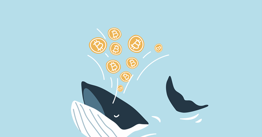 Cryptos in Action