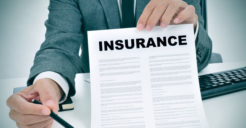  Should you add these 2 blue-chip insurance stocks to your portfolio? 