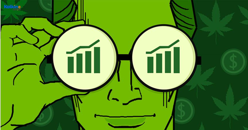  5 TSX cannabis stocks to buy under $20 as US weighs decriminalization 
