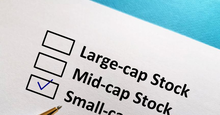  Do these 2 NZX small caps have potential to outperform large-cap stocks? 