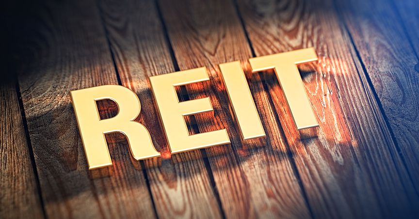  Which are 5 NZX REIT stocks to look at in November? 