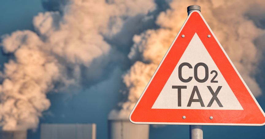  Is levying carbon tax on companies possible? 