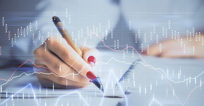  Which 4 NZX Retail stocks have online shopping platforms? 