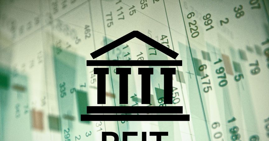  Which 3 NZX REIT stocks to explore amid robust housing sales? 