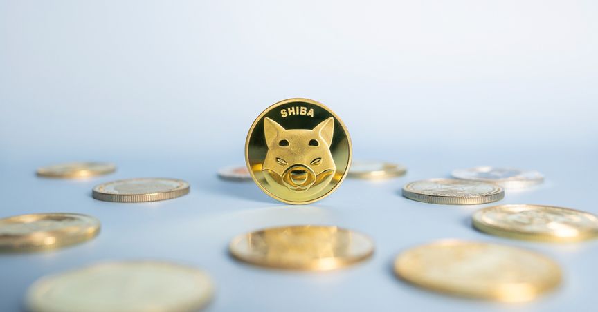  Is Shiba Inu (SHIB) on track to be among top 10 cryptocurrencies? 