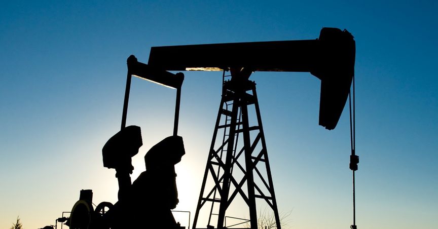  Crude oil rallies after leading oil consumers tap SPR 