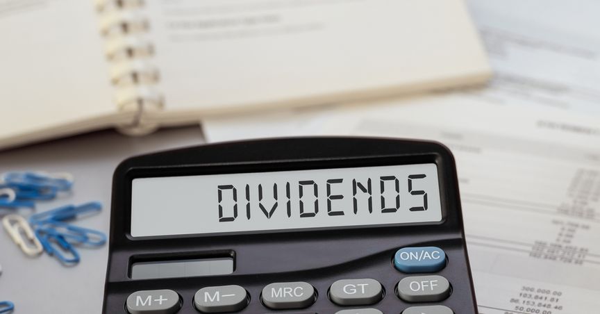  How these 3 NZX dividend stocks might enhance a portfolio 